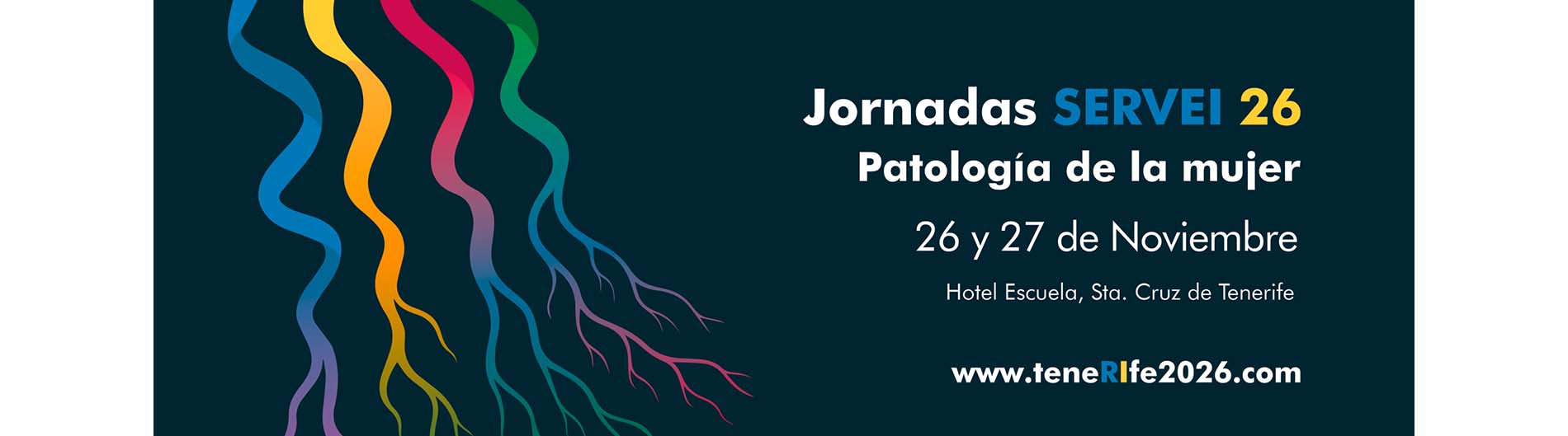 Jornadas SERVEI 26